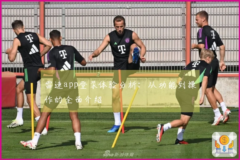 雷速app登录体验分析：从功能到操作的全面介绍
